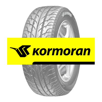 Kormoran